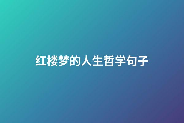 红楼梦的人生哲学句子