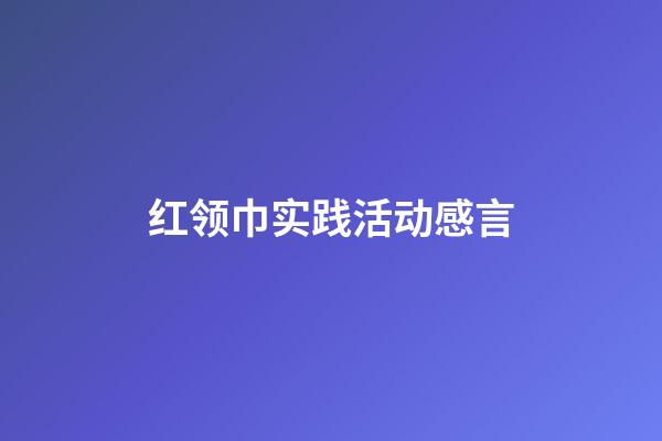 红领巾实践活动感言