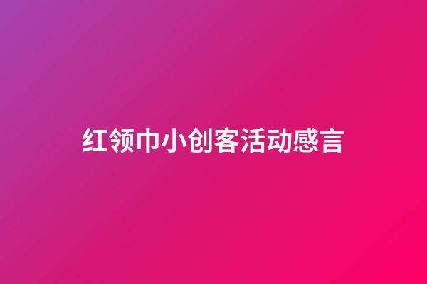 红领巾小创客活动感言