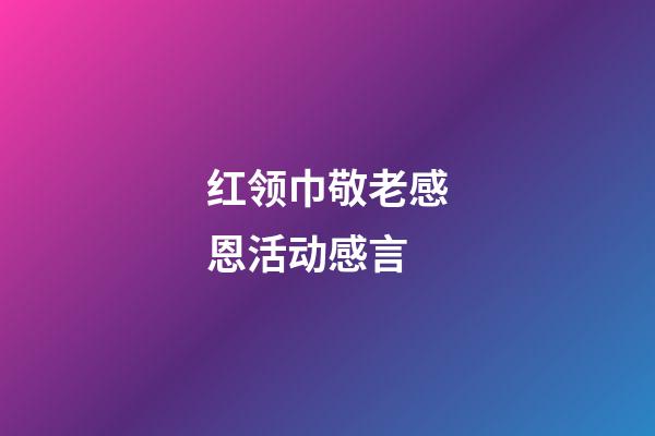 红领巾敬老感恩活动感言