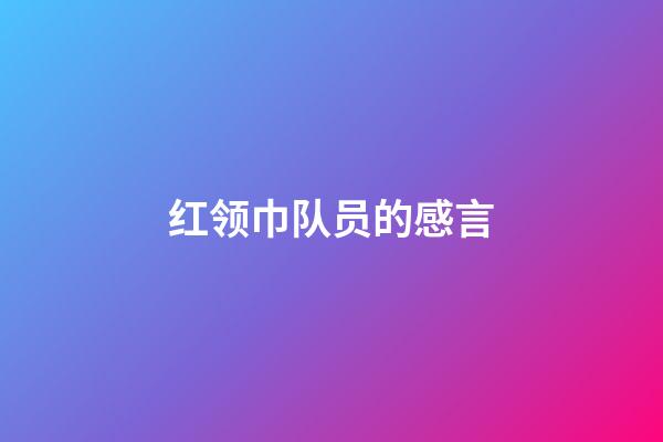 红领巾队员的感言