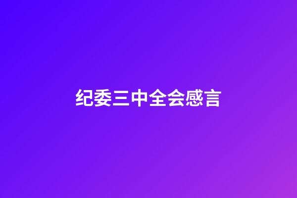 纪委三中全会感言