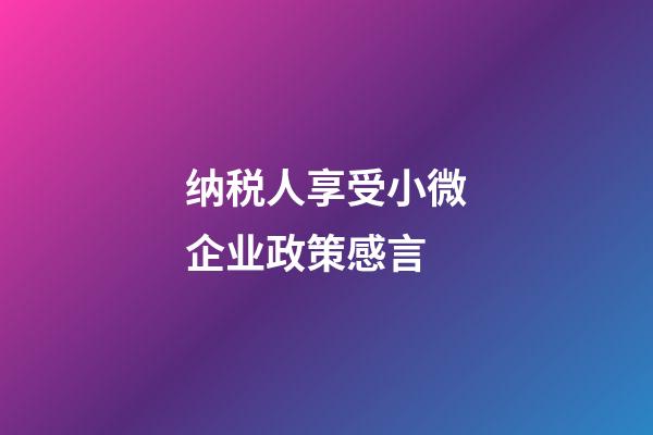 纳税人享受小微企业政策感言