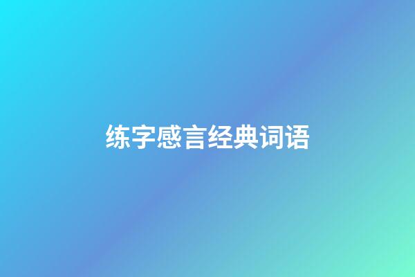 练字感言经典词语