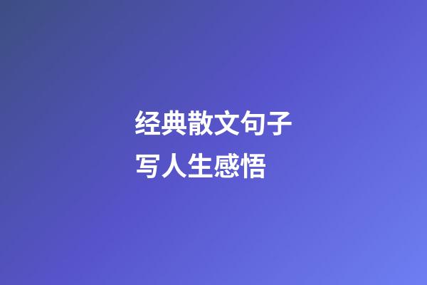 经典散文句子写人生感悟