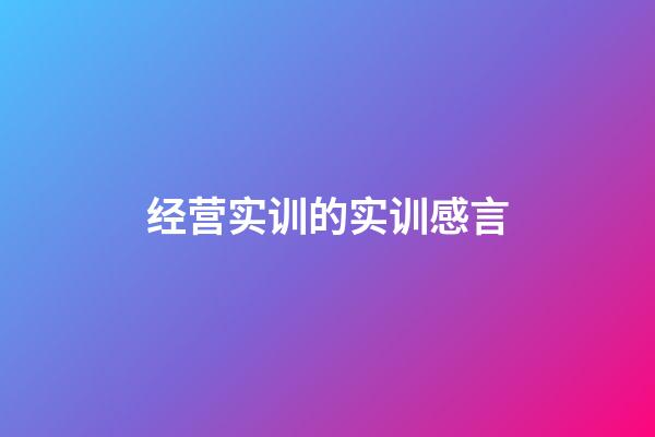 经营实训的实训感言