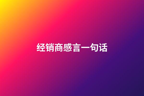 经销商感言一句话