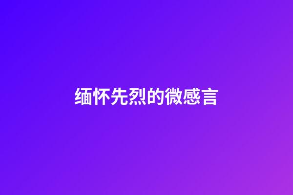 缅怀先烈的微感言