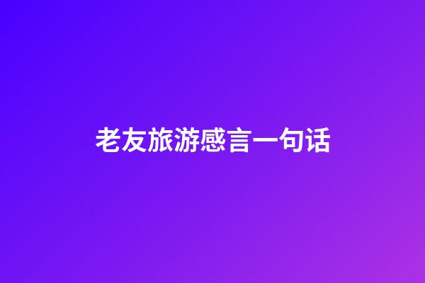 老友旅游感言一句话