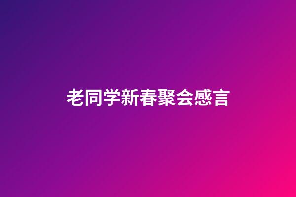 老同学新春聚会感言