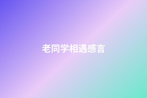 老同学相遇感言