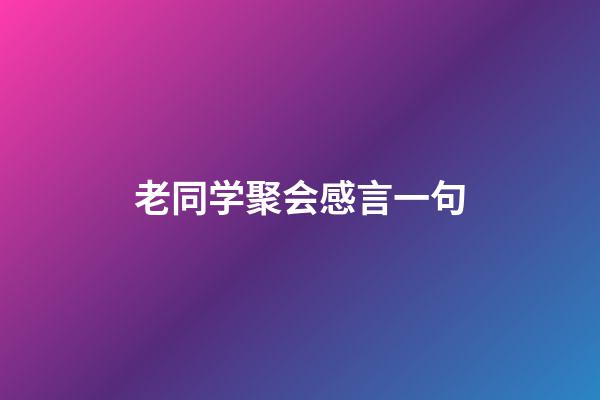 老同学聚会感言一句