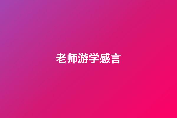 老师游学感言