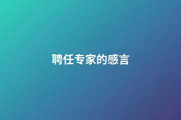 聘任专家的感言