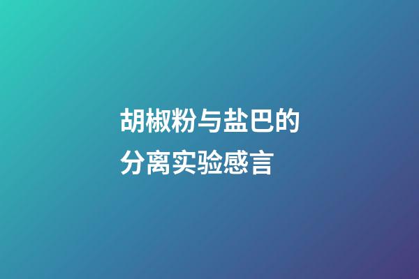 胡椒粉与盐巴的分离实验感言