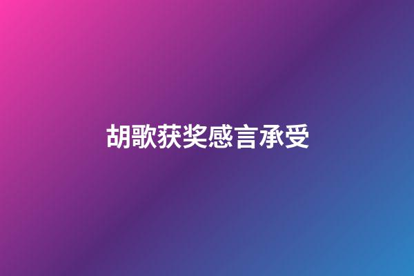 胡歌获奖感言承受