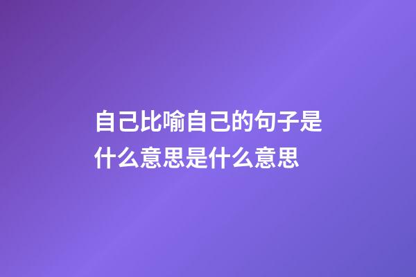 自己比喻自己的句子是什么意思是什么意思