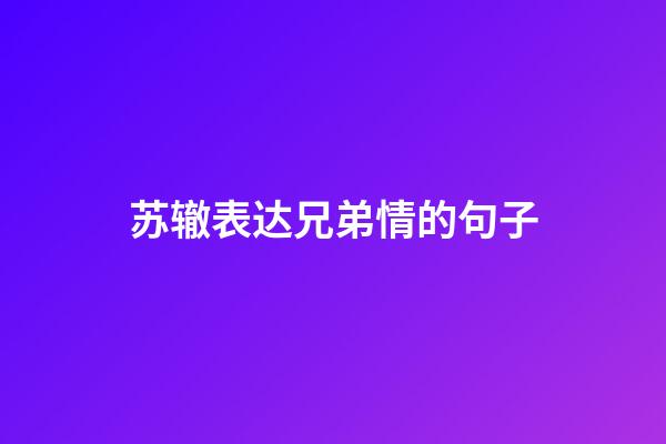 苏辙表达兄弟情的句子