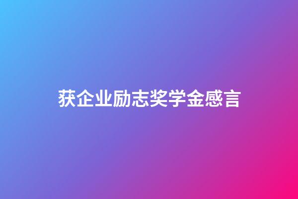 获企业励志奖学金感言