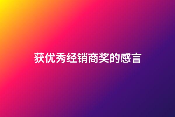 获优秀经销商奖的感言