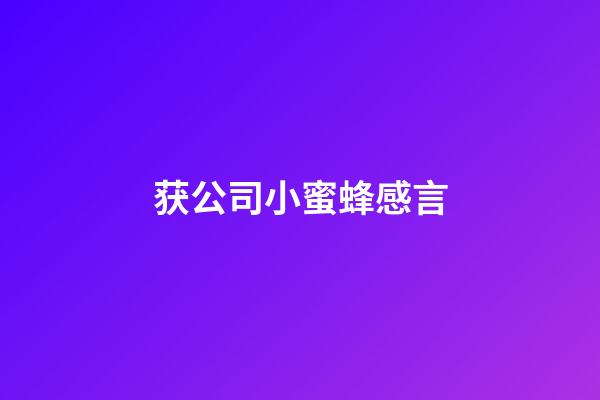 获公司小蜜蜂感言