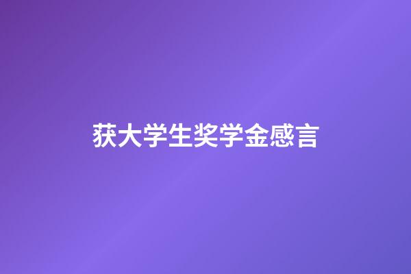 获大学生奖学金感言