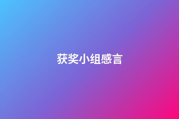 获奖小组感言