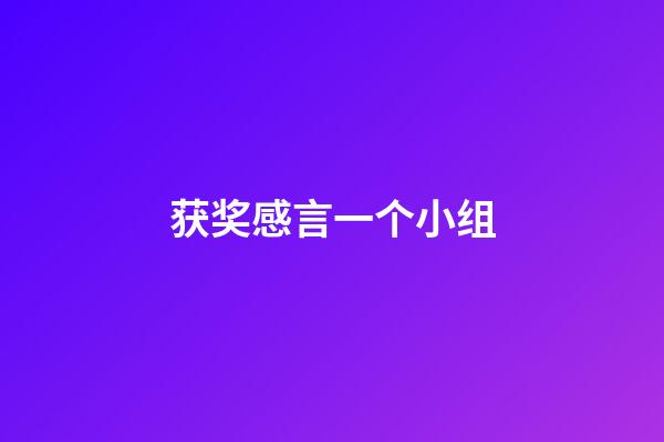 获奖感言一个小组