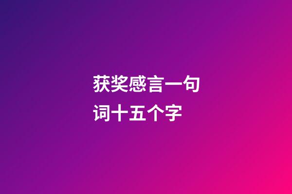 获奖感言一句词十五个字