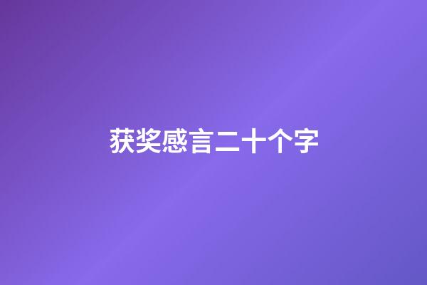 获奖感言二十个字