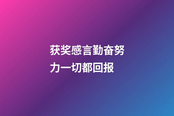 获奖感言勤奋努力一切都回报