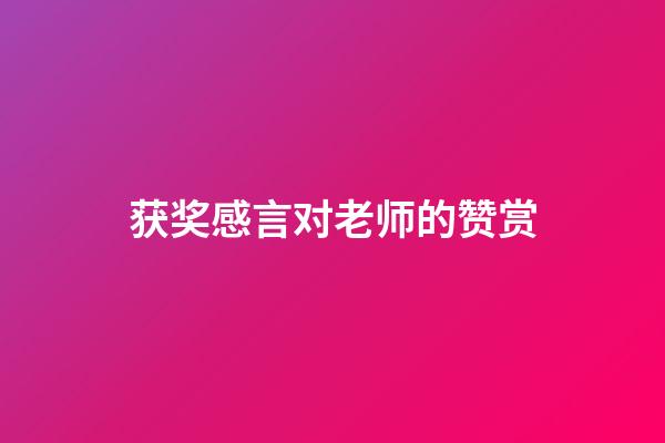 获奖感言对老师的赞赏