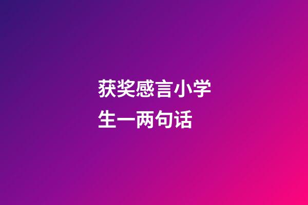 获奖感言小学生一两句话