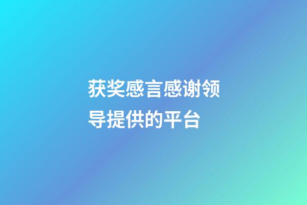 获奖感言感谢领导提供的平台