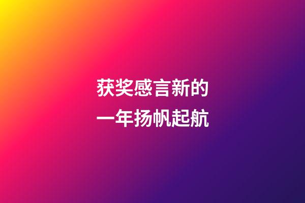 获奖感言新的一年扬帆起航