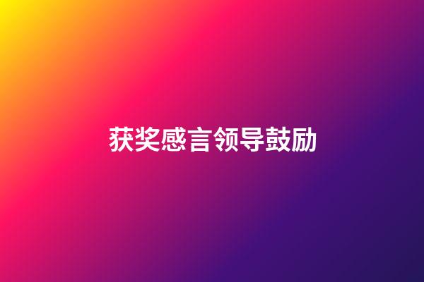 获奖感言领导鼓励