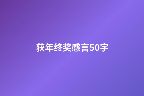 获年终奖感言50字