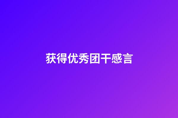 获得优秀团干感言