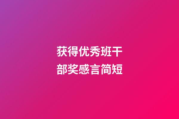 获得优秀班干部奖感言简短