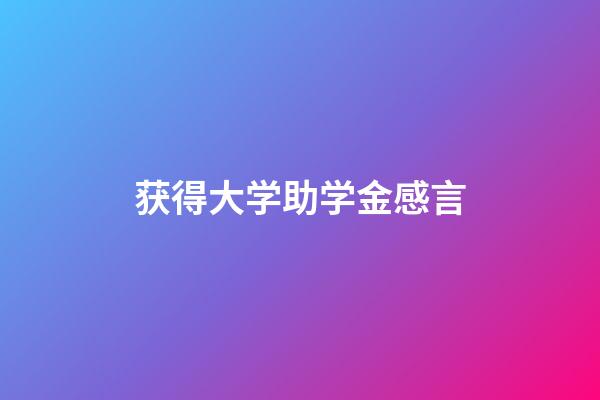 获得大学助学金感言