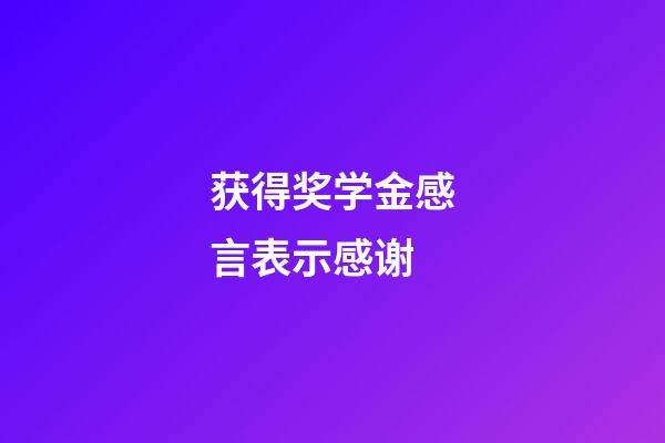 获得奖学金感言表示感谢