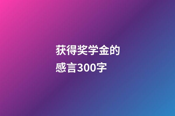 获得奖学金的感言300字