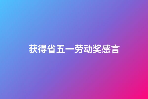 获得省五一劳动奖感言