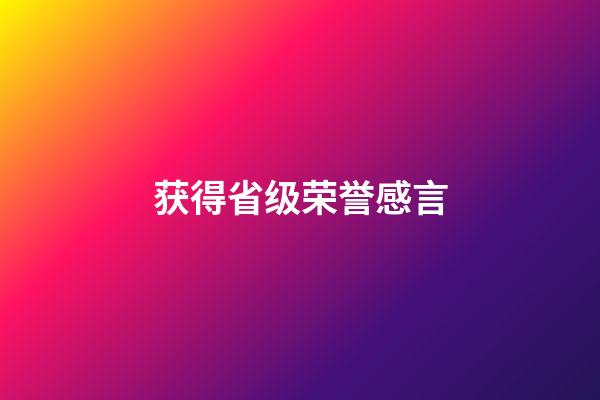 获得省级荣誉感言