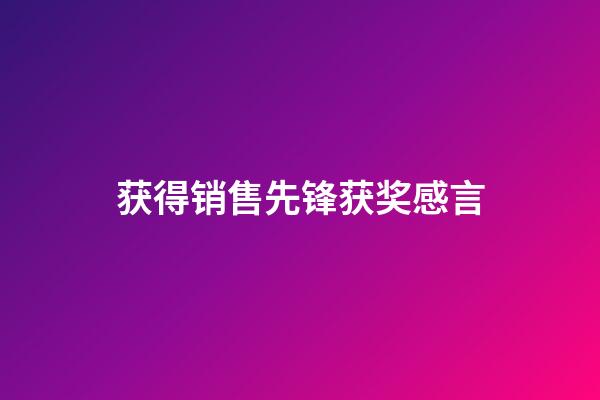 获得销售先锋获奖感言