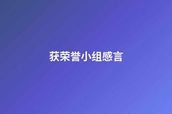 获荣誉小组感言