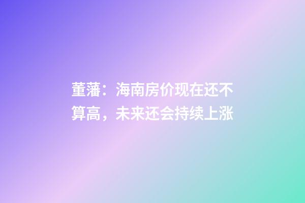 董藩：海南房价现在还不算高，未来还会持续上涨