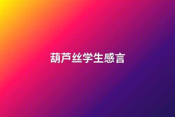 葫芦丝学生感言