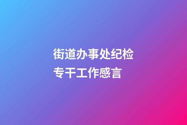 街道办事处纪检专干工作感言