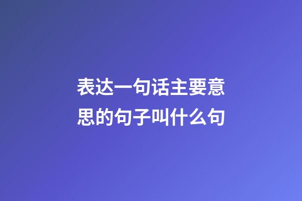 表达一句话主要意思的句子叫什么句